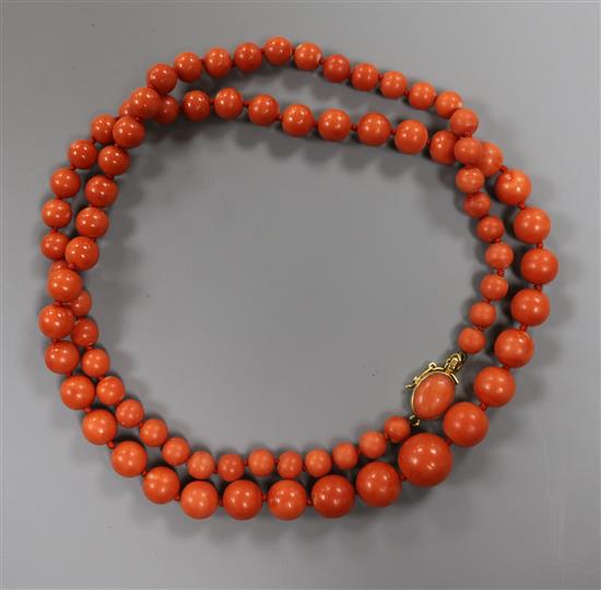 A single strand graduated coral bead necklace, with yellow metal clasp, gross weight 53 grams, 64cm.